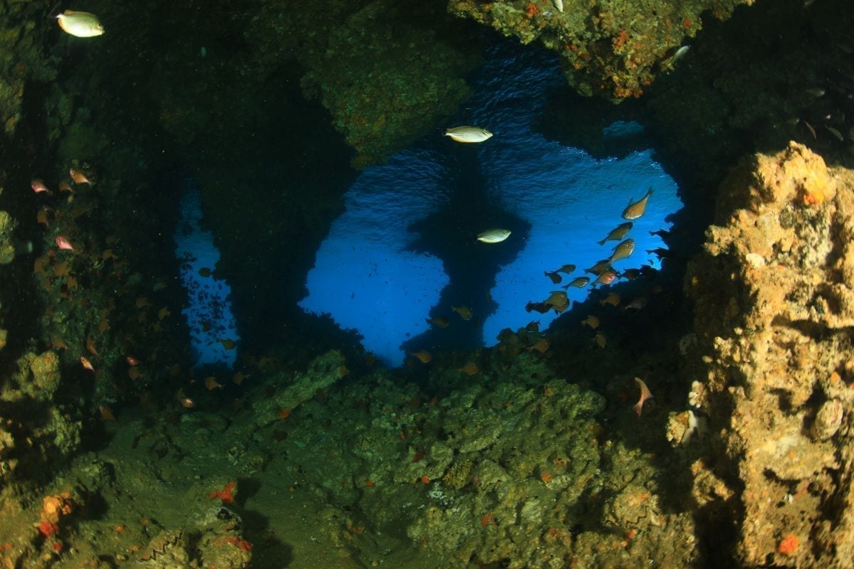 Fun Diving