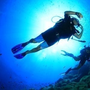 Koh Tao Dive Tour