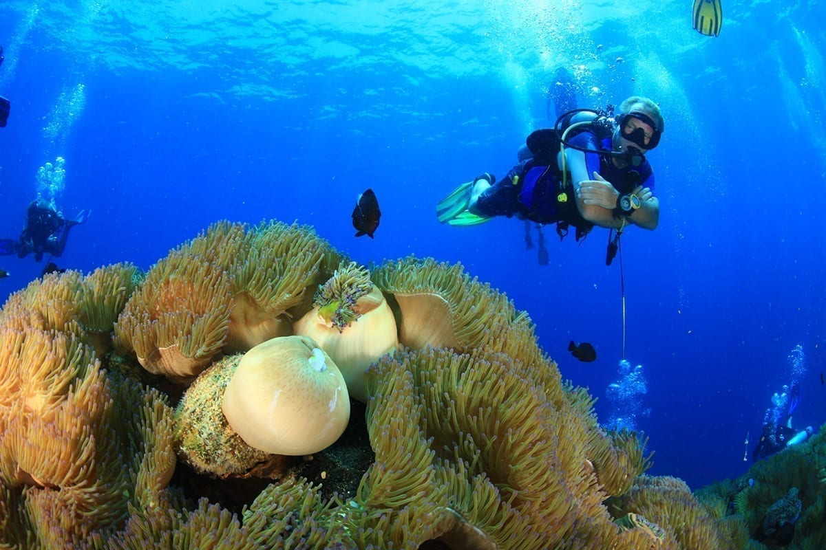 Big One Dive Tour