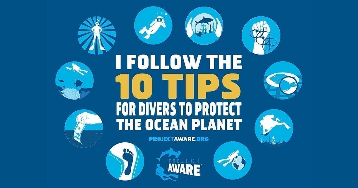 10 Tips for Divers to Protect the Ocean Planet