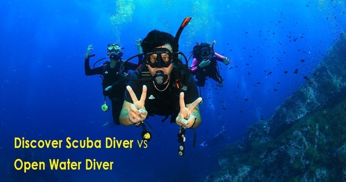 Discover Scuba Diver vs Open Water Diver