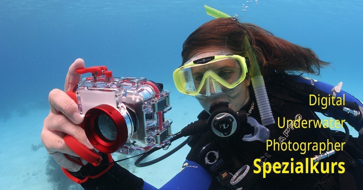 Spezialkurs - Digital Underwater Photographer