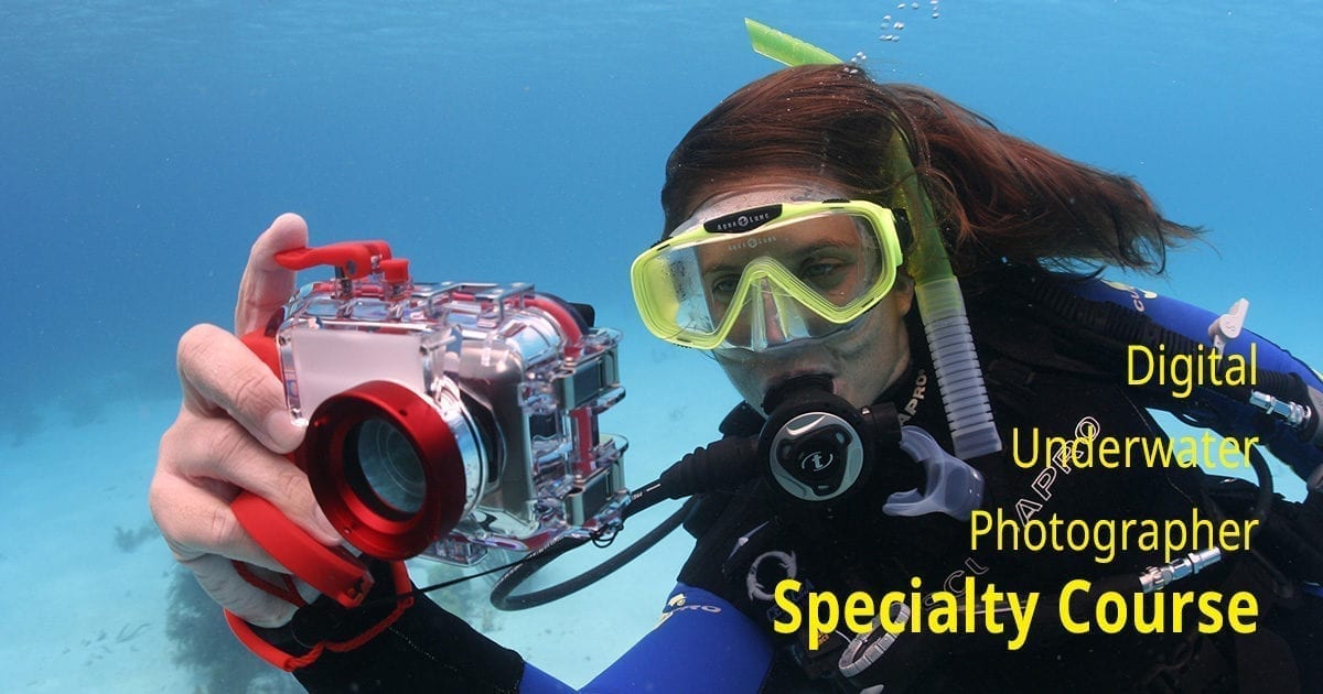 Digital Underwater Photographer