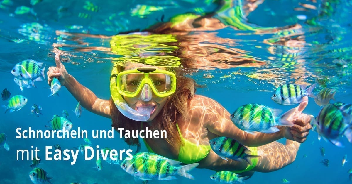 Schnorcheln und Tauchen mit Easy Divers
