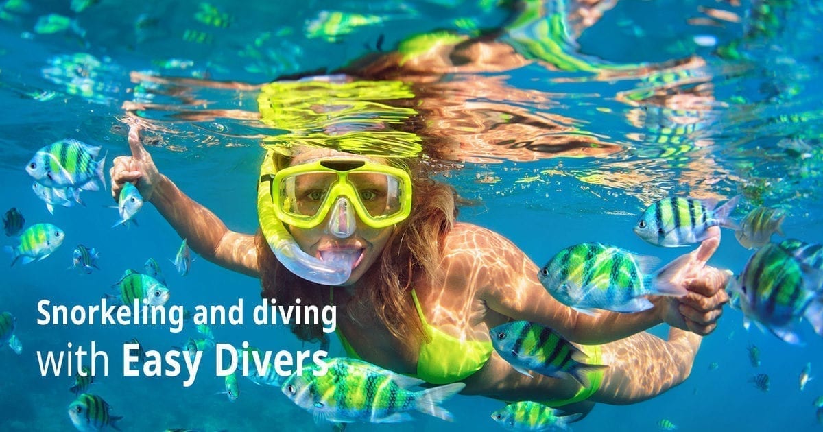 Snorkeling and diving with Easy Divers