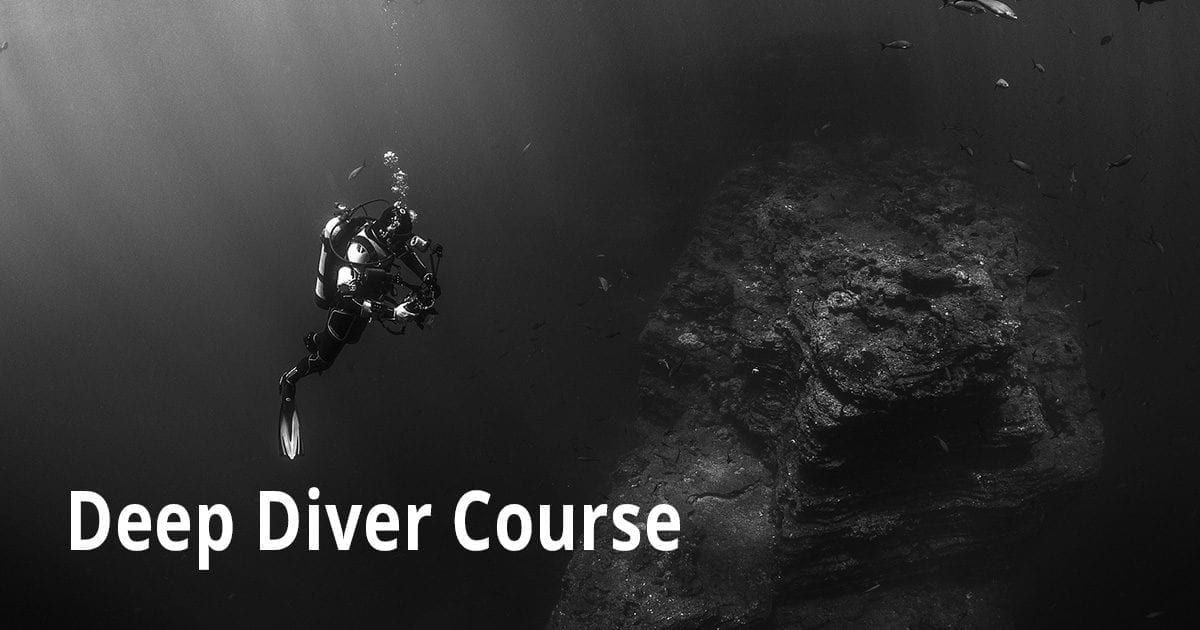 Deep Diver Course