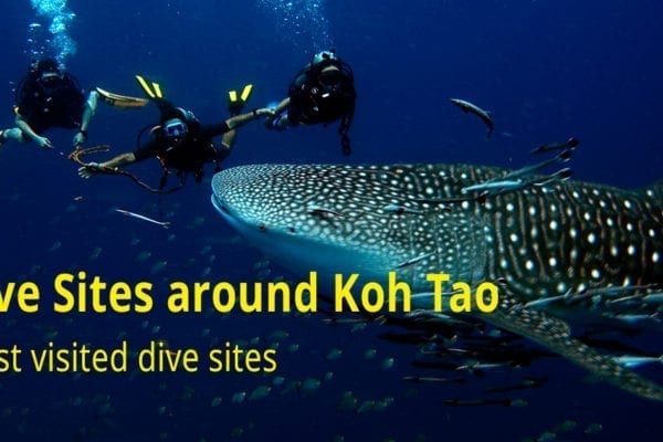 Dive Sites around Koh Tao