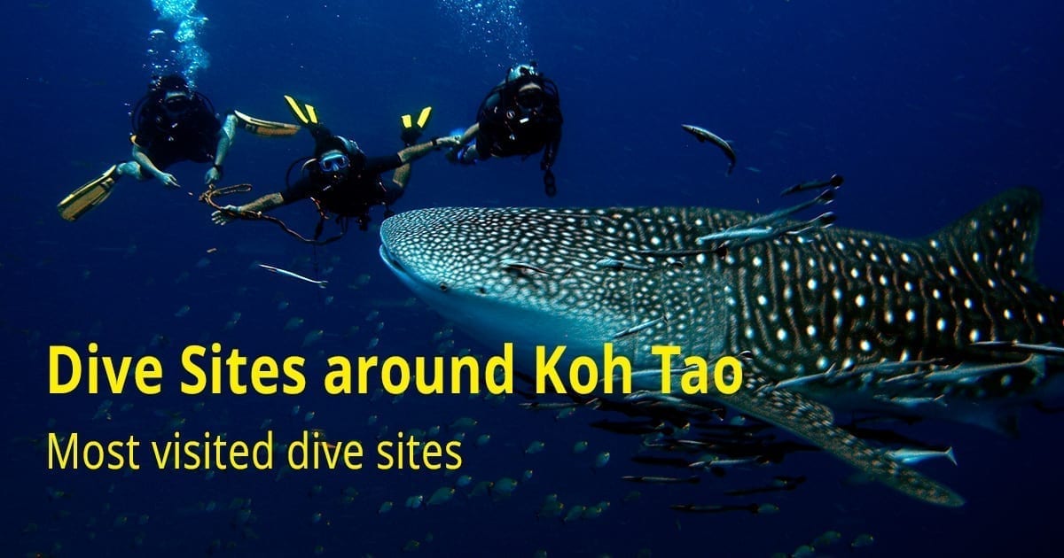 Dive Sites around Koh Tao