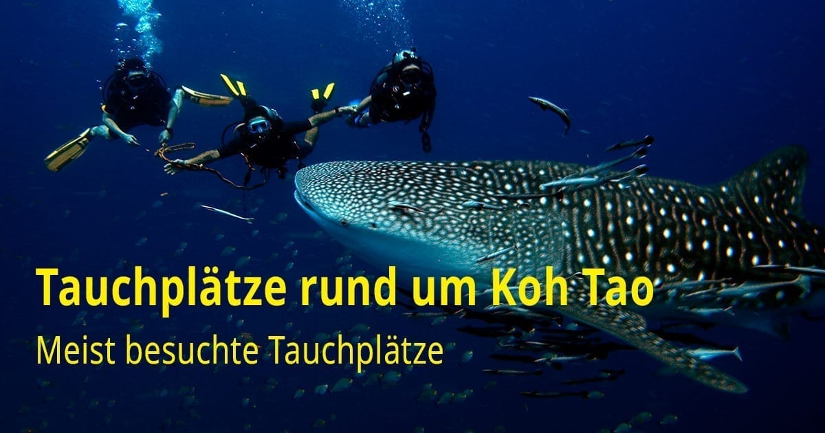 Tauchplätze rund um Koh Tao