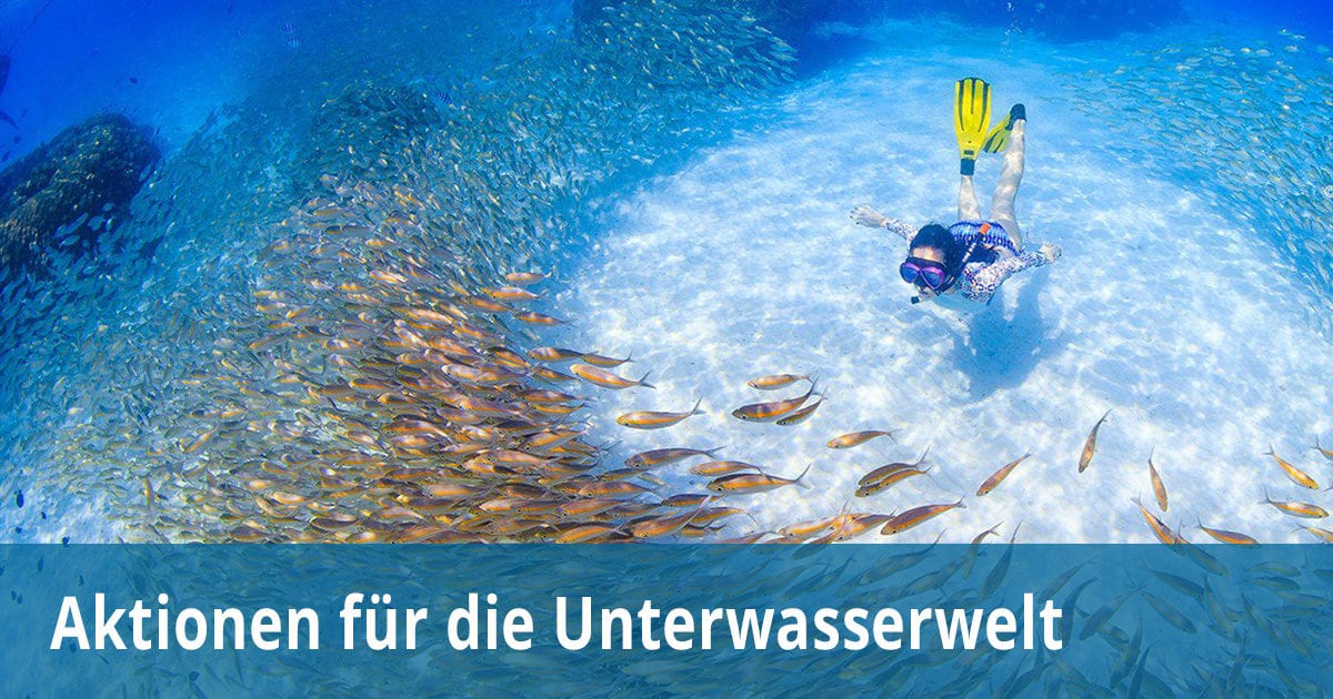 Aktionen für die Unterwasserwelt