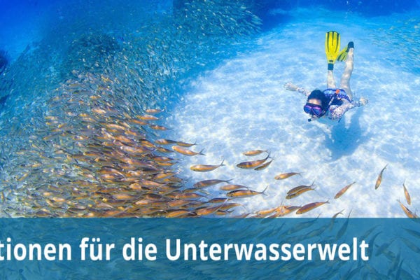 Aktionen für die Unterwasserwelt