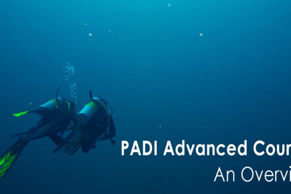 PADI Advanced Courses