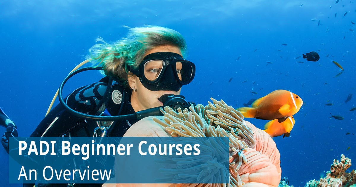 PADI Beginner Courses