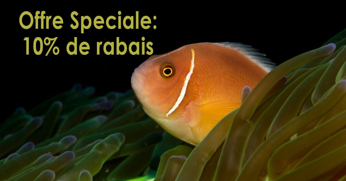 Offre speciale: 10% de rabais