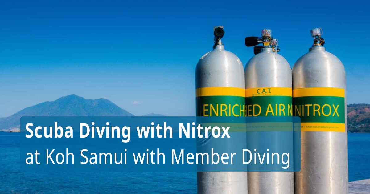Scuba Diving with Nitrox at Koh Samui with Member Diving