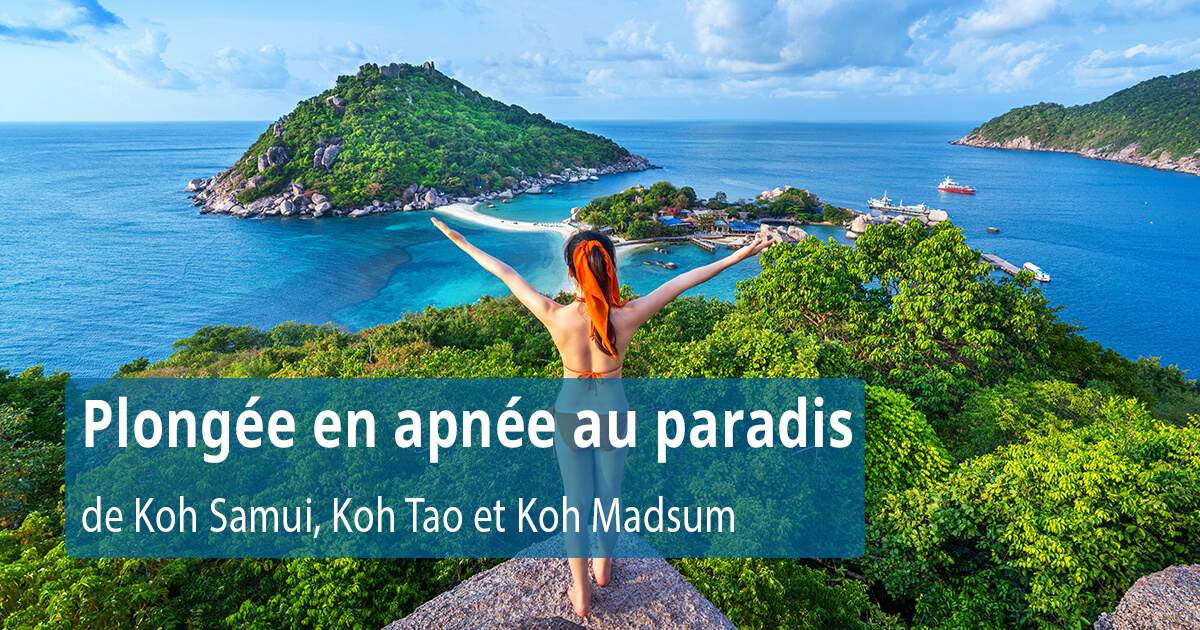 Plongée en apnée au paradis de Koh Samui, Koh Tao et Koh Madsum