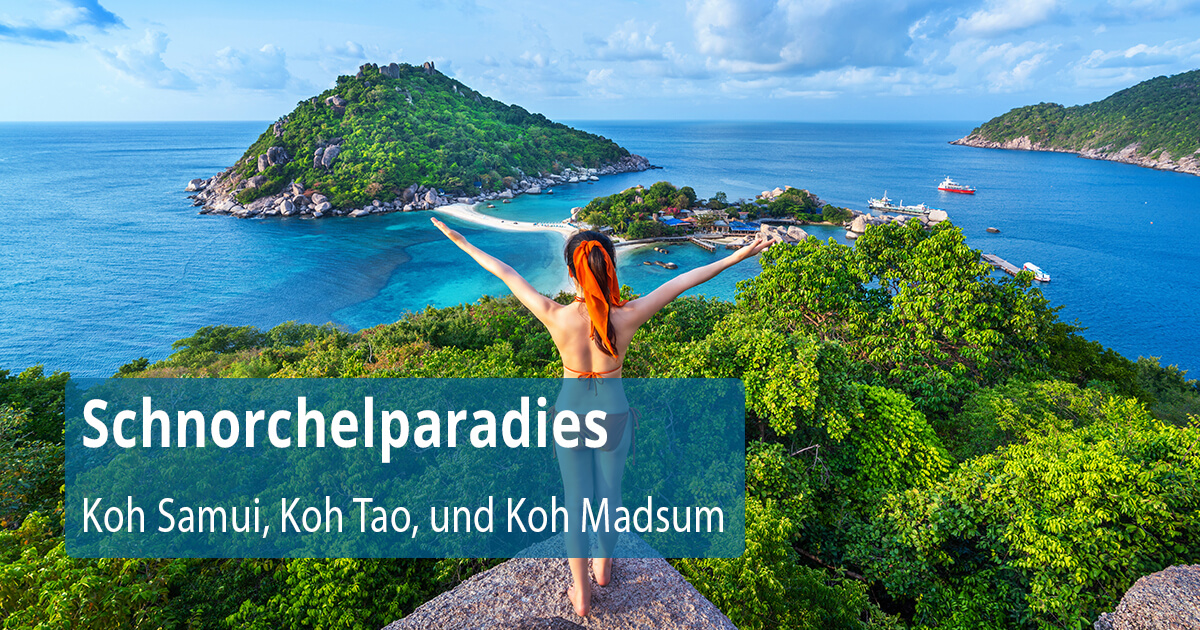 Schnorchelparadies Koh Samui, Koh Tao, und Koh Madsum