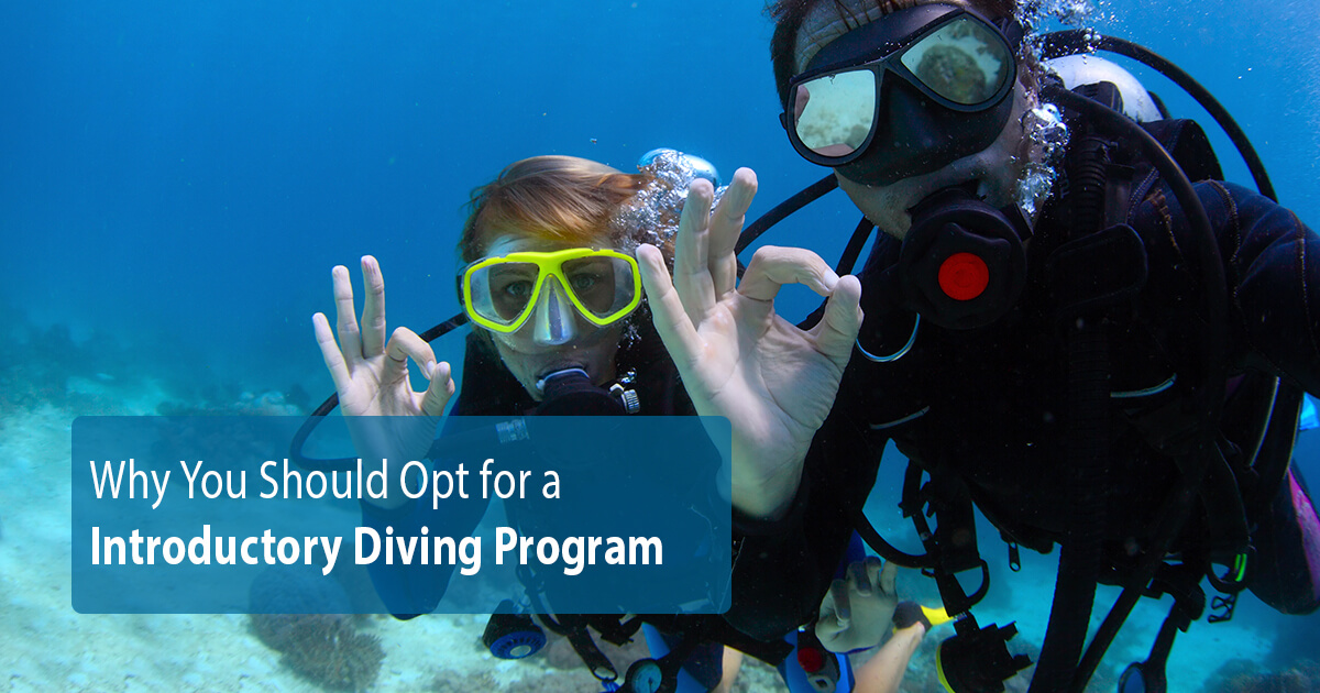 Why You Should Opt for a Introductory Diving Program